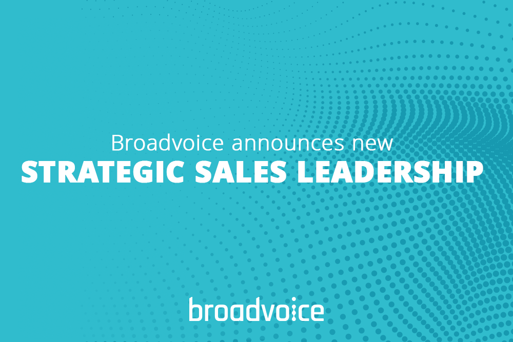 strategic sales leadership banner