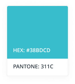 Primary Blue primary blue swatch
